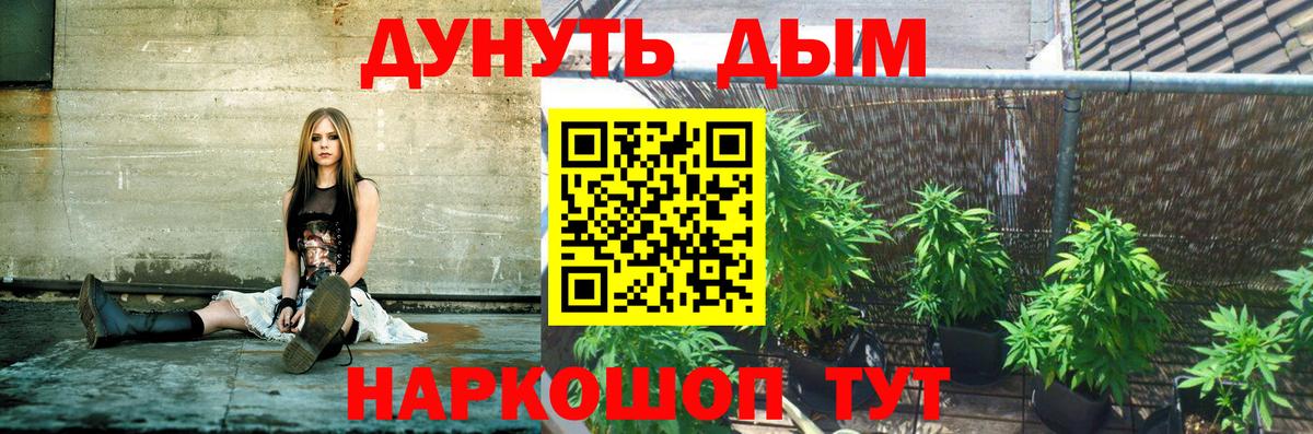 Конопля OG Kush  Вход с VPN  Кизилюрт  Конопля план  Бошки Шишки сатива 